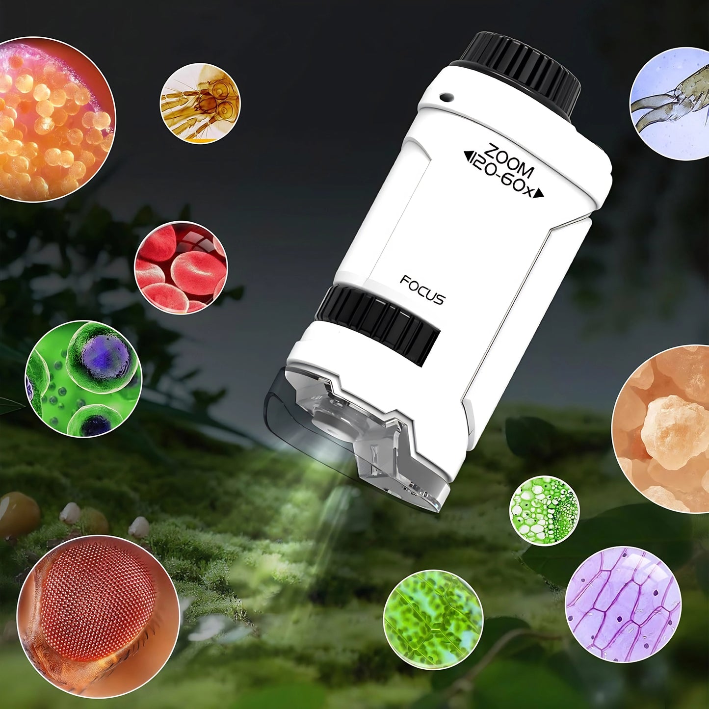 MicroTec Portable Kids Microscope - NEESTEC